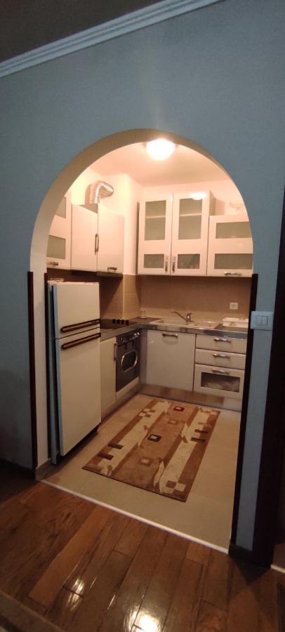 Appartement Apartman Tanya à Podgorica Extérieur photo
